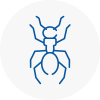 Ant Removals In Sandwell