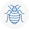 Bed Bug Extermination In Sandwell