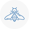 Bee Nest Removal Sandwell