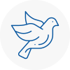 Bird Prevention Sandwell