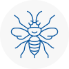 Sandwell Hornet Nest Removals