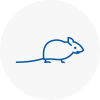 Mice Exterminators In Sandwell