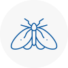 Moth Control Specialists In Sandwell
