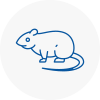 Rat Control Sandwell