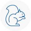 Sandwell Rodent Removals