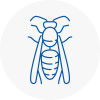 Sandwell Wasp Nest Removal